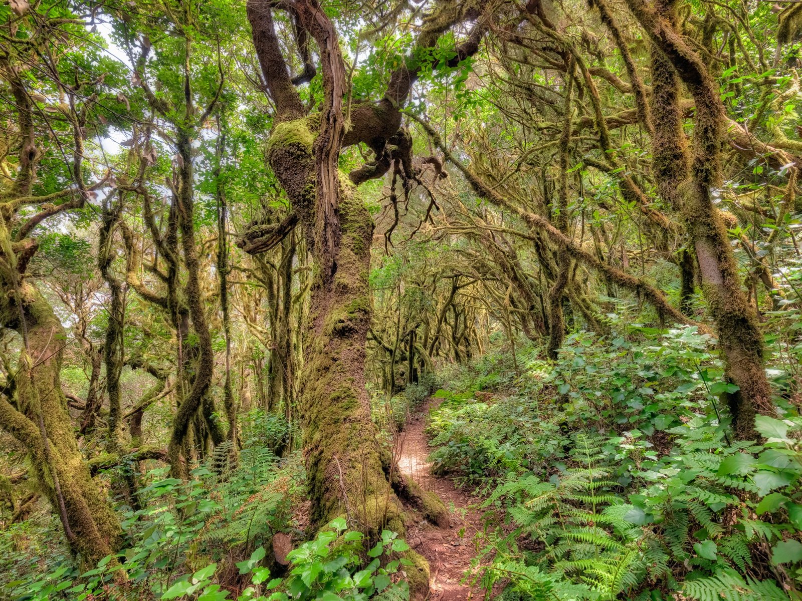 La Gomera